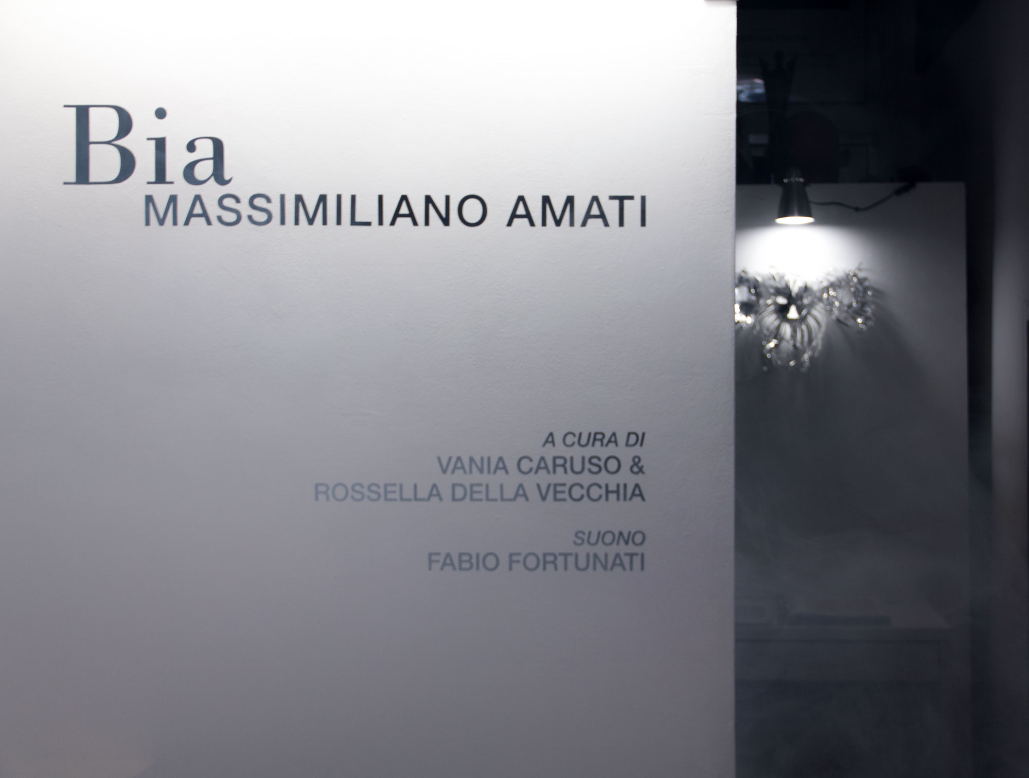 BIA_014_massimiliano_amati_galleria291